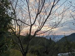 -梁野山景区