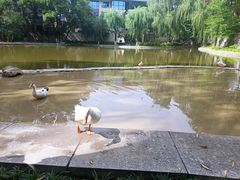 -西安市长乐公园