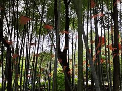 -金水泊山庄·花椒鸡(铁山坪店)