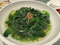 -金悦轩海鲜城(渔人码头店)