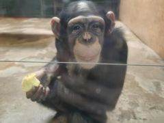 -石家庄市动物园