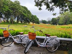 -清水湾旅游度假区