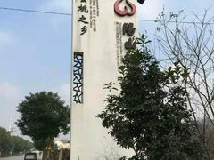 -田园东方蜜桃村的田野营地