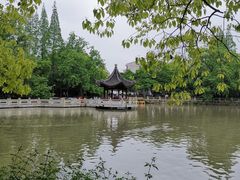 -嘉定紫藤园