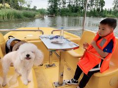 -上海长兴岛郊野公园