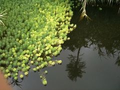 -佳乐家(新华店)