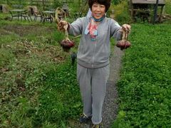 -田园东方蜜桃村的田野营地