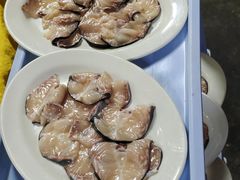 招牌鸭嘴鱼-荔景渔庄