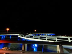 -演武大桥观景平台