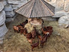 -郑州市动物园