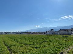 -翠田Green Field Kitchen