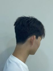 -蚂蚁造型沙龙
