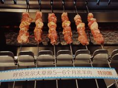 呼伦贝尔羊肉串-很久以前羊肉串(朝阳路店)
