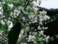 -天一阁博物院