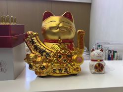 -成都苗方清颜专业祛痘