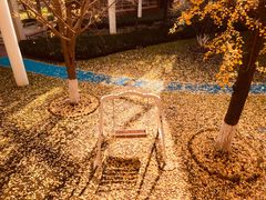 -华东师范大学第二附属中学(张江校区)