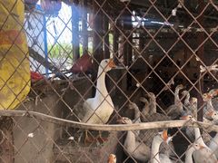 -鱼窝棚柴火铁锅炖(富山屯店)