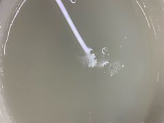 白粥-长平肥姐白粥·海鲜打冷