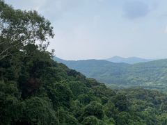 -广州市帽峰山景区