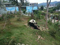 -泉州海丝野生动物世界