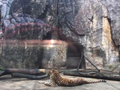 -南昌动物园