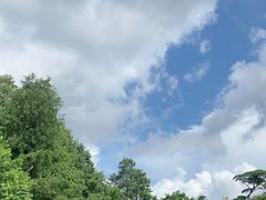 -荔枝公园(福田区)