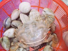 -洲晓鲜·舟山海鲜大排档(朱家尖风景区店)