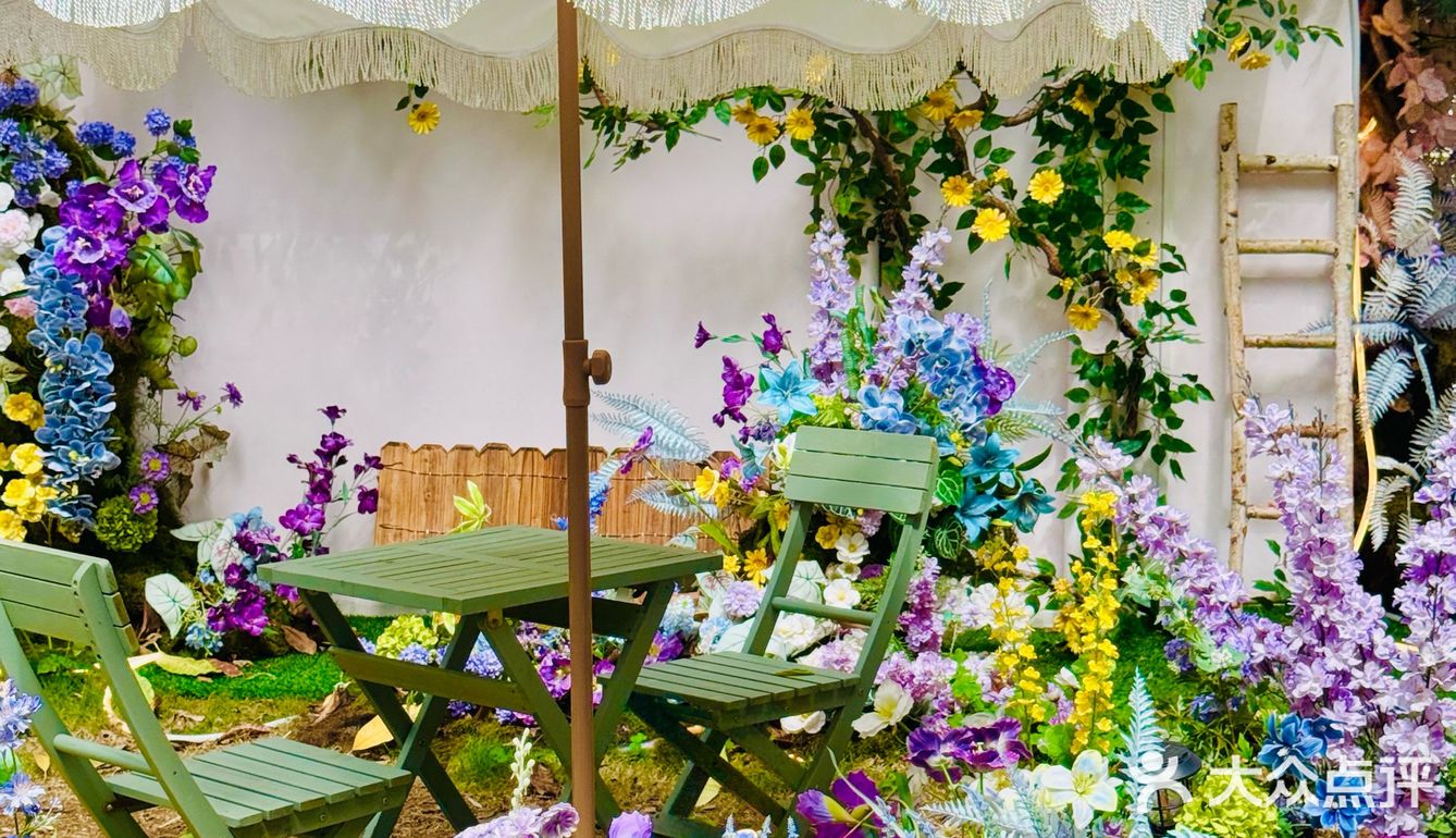 我说要个招牌 老板给我上了只猫🐱