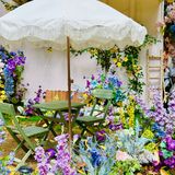 我说要个招牌 老板给我上了只猫🐱