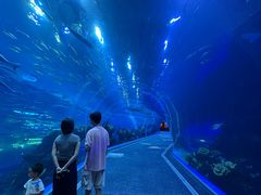 -成都浩海立方海洋公园