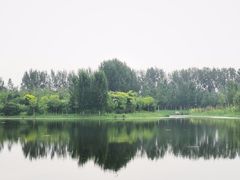 -东郊湿地公园
