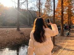-白水寺森林公园