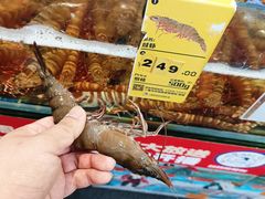 -三亚火车头万人海鲜广场