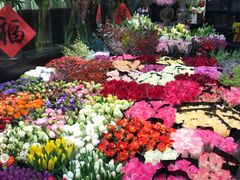 -双季花艺园艺市场(浦东店)