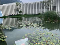 -中国宣纸文化园