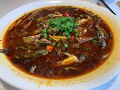 黄辣丁-大蓉和(双楠店)