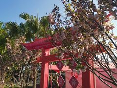 -观澜湖生态运动公社