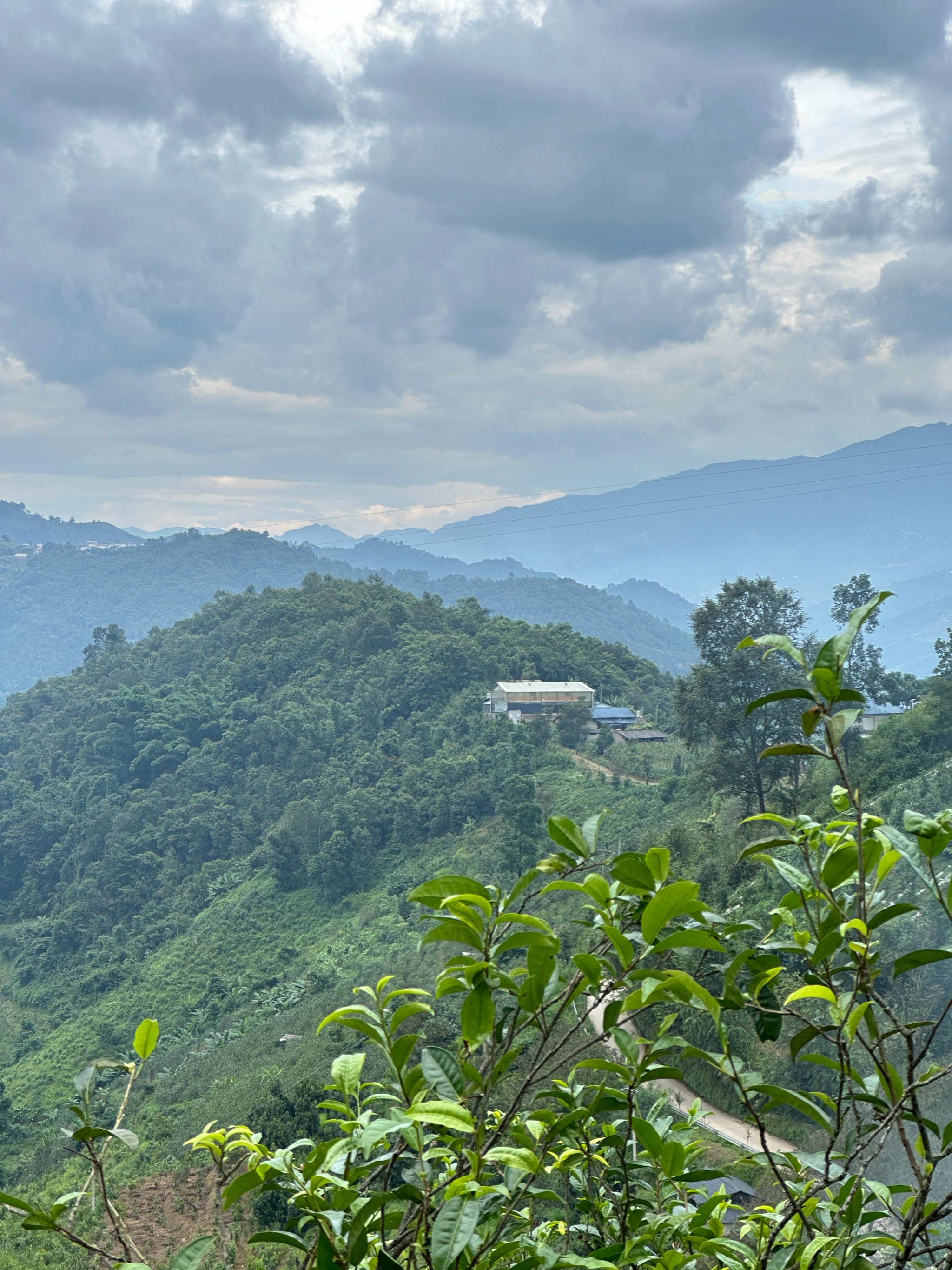 山顶的风景 眺望图片