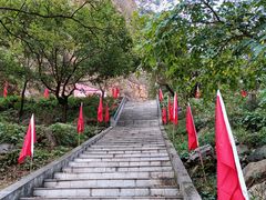 -湖洞水自然风景区