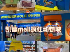 -凯德MALL(西直门店)