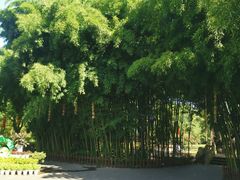 -东坡赤壁风景名胜区