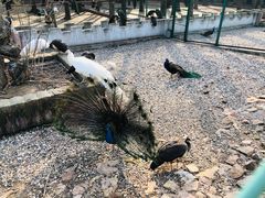 -南京金牛湖风景区