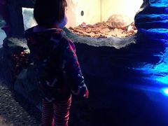 -上海大自然野生昆虫馆(东方明珠·爬宠昆虫探索中心)