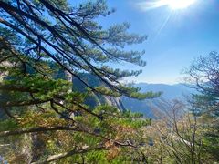 -罗田天堂寨风景区