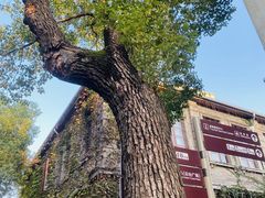 -半岛1919创意园区