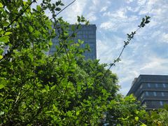 -上海浦西万怡酒店