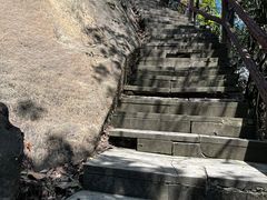 -缙云山景区