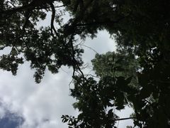 -云涛森林温泉