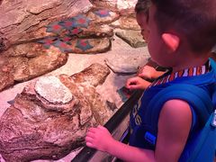 -沈阳海洋探索中心