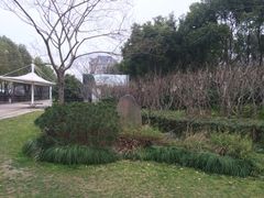 新江湾城公园-新江湾城公园